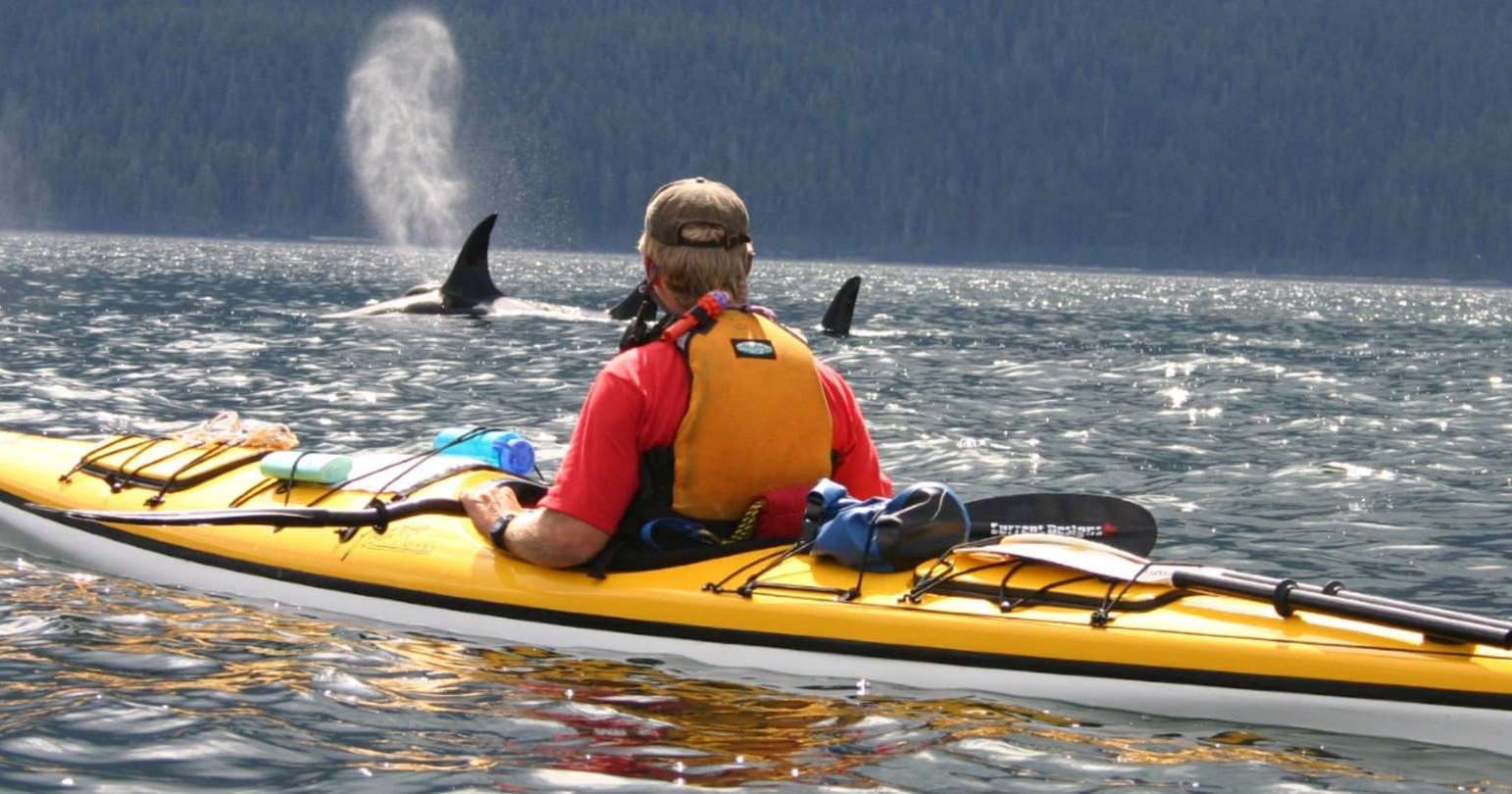 Gourmet Kayak Expedition on San Juan Island: Orcas, Beaches & Washington Wines