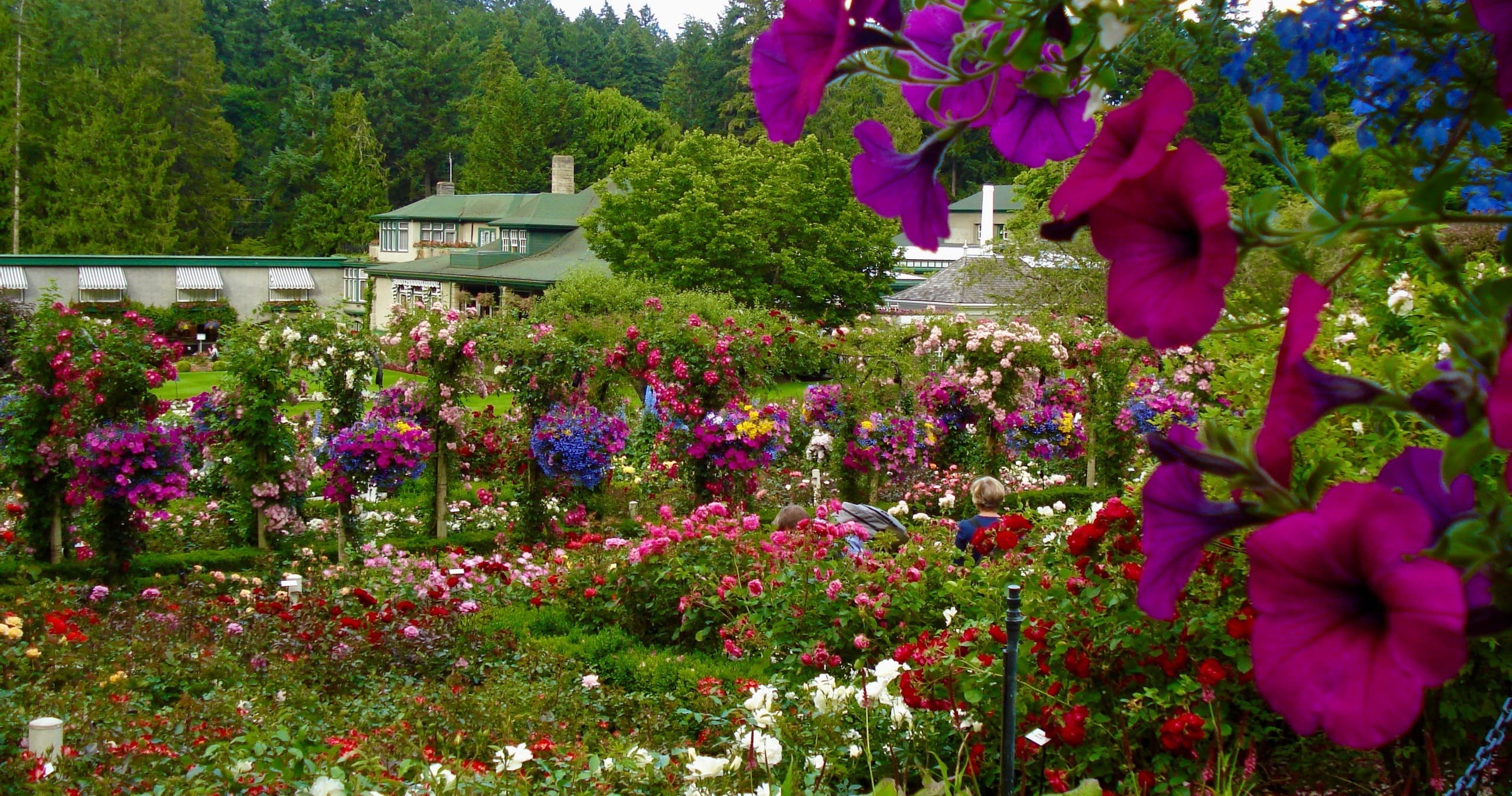 Land Adventures: Backcountry Roads to Butchart Gardens in Victoria