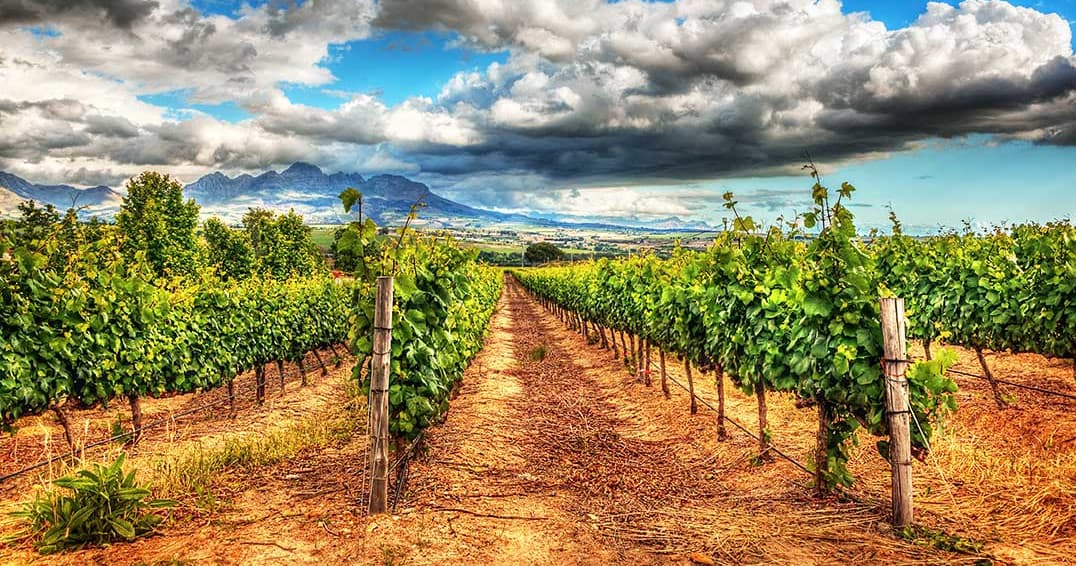 Private Alcantara Vineyard Tasting Tour in Sedona, AZ