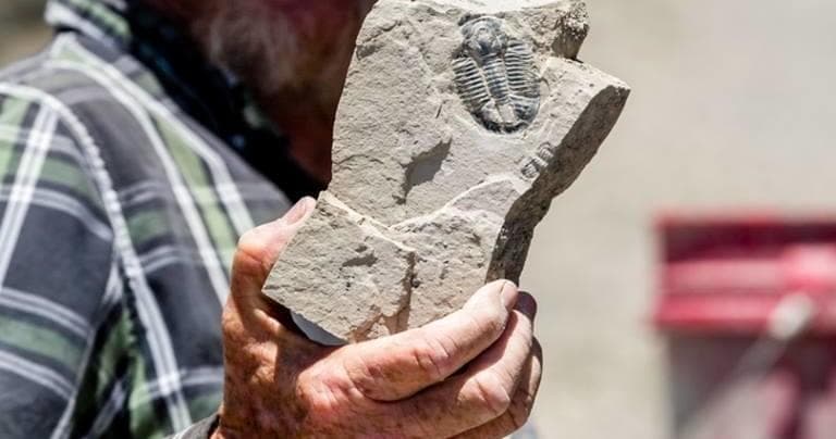 Private Trilobite Fossil Dig in Delta, Utah Quarry