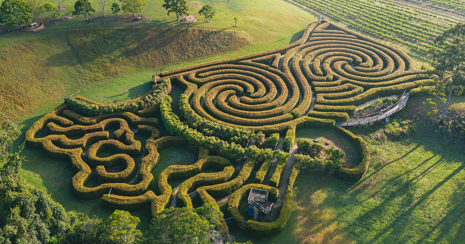 Bago Maze Adventures at Bago Maze & Vineyards