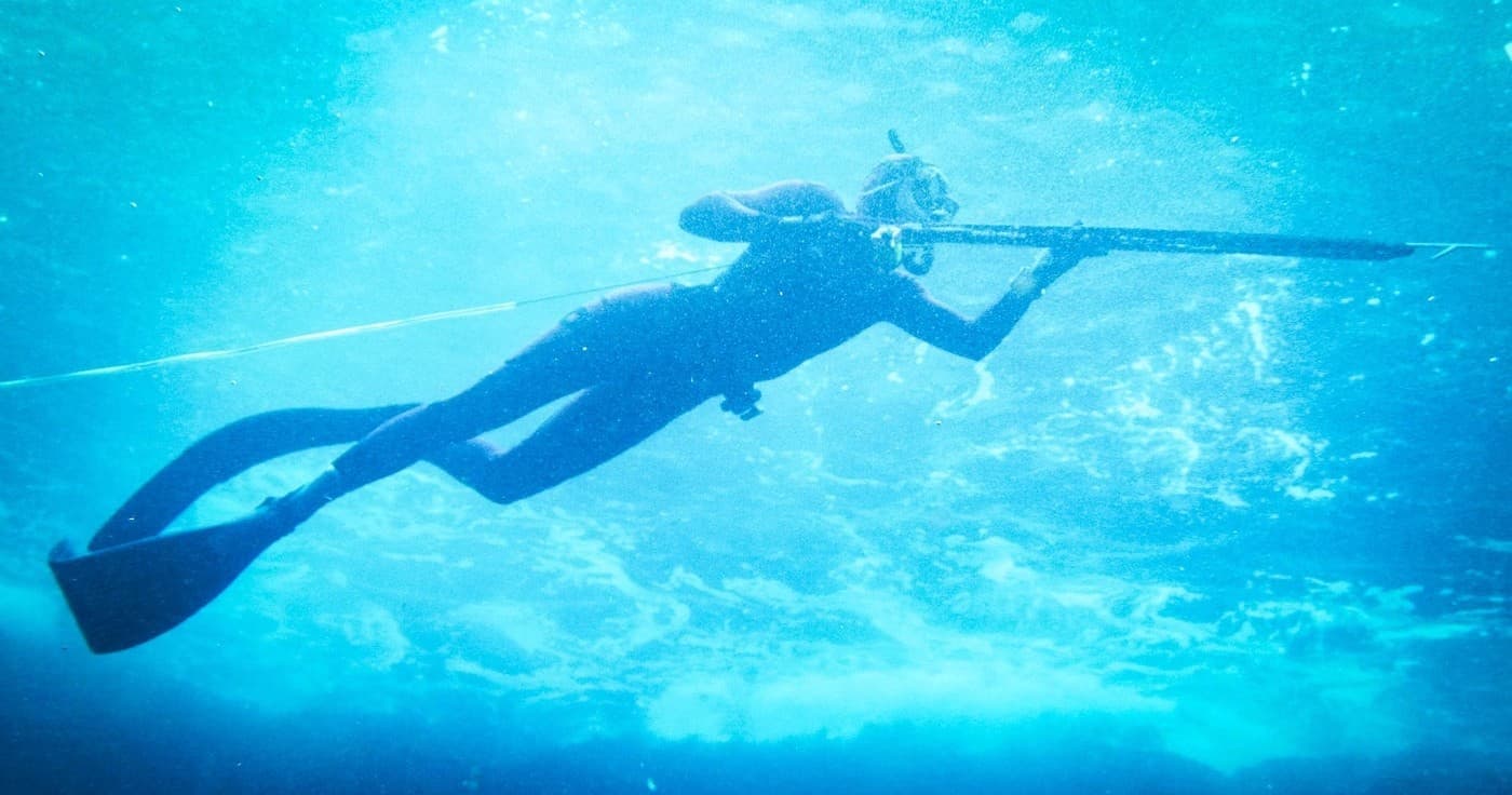 Intermediate Freediver Plus Spearfishing in San Diego, CA