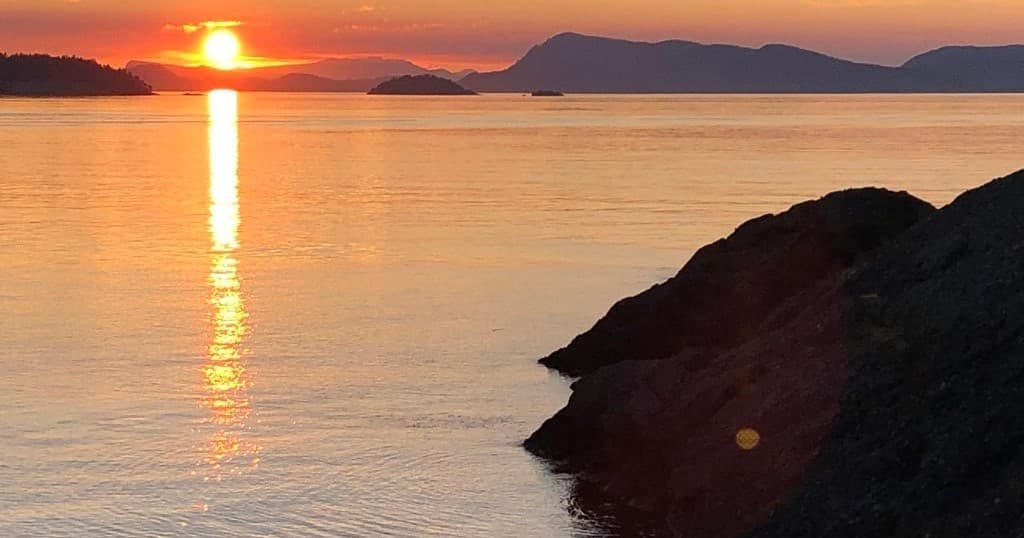 Kayak with Whales on San Juan Island | Sea Quest Kayak Tours