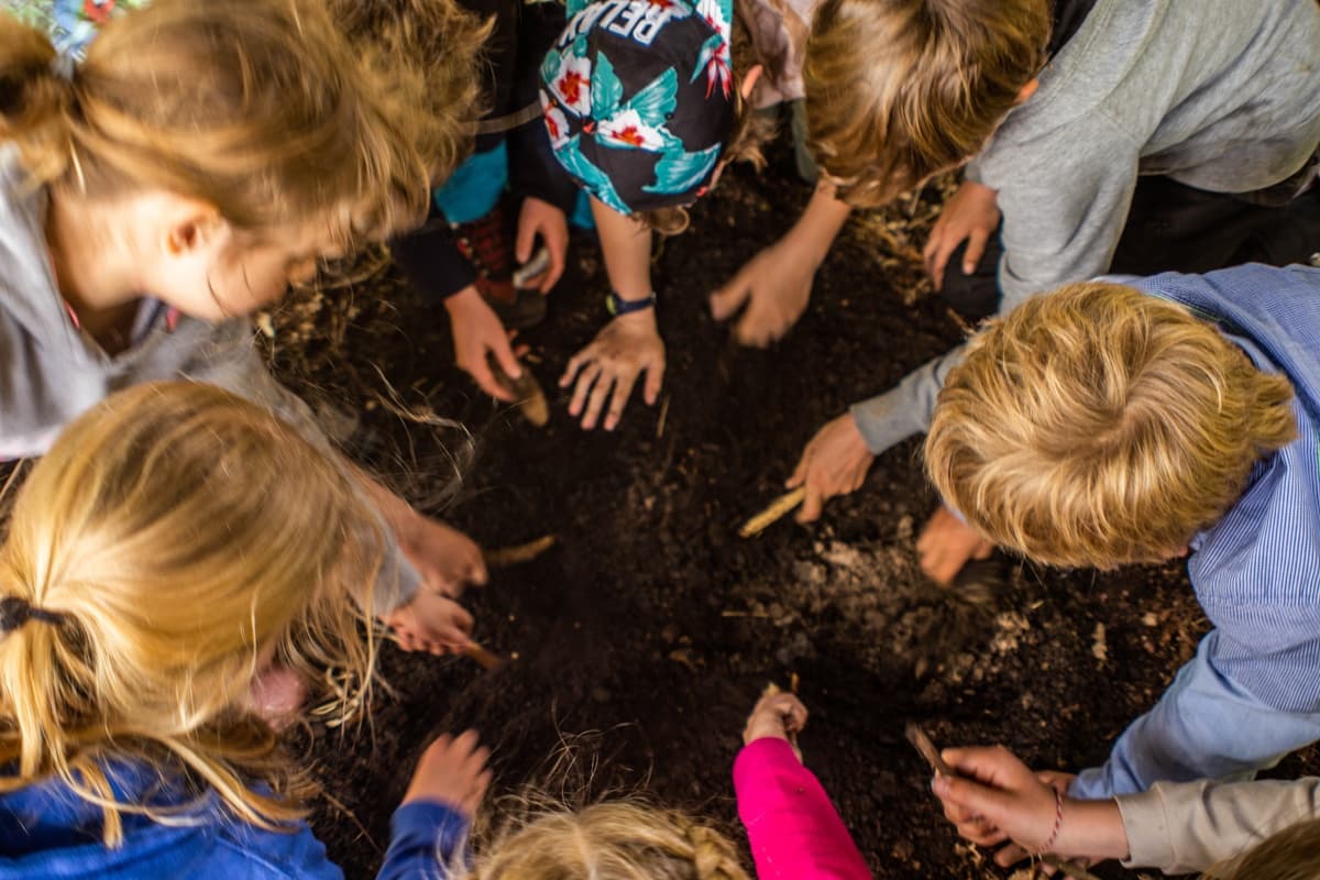 Knife and Saw Safety for Kids: Hands-On Bushcraft at Leersums Veld photo 1