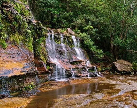 Forest waterfall cascading into rocky pool, scenic short-hike experience