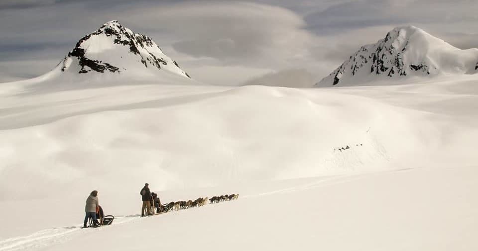 Explore Alaska’s Winter Wilds on the Denali Glacier Snowmobile Adventure