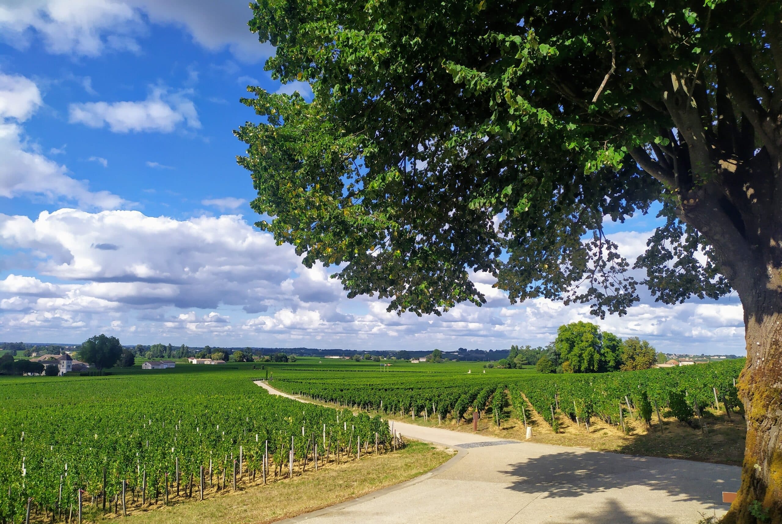 Land Adventures in Bordeaux & Wine Region by Sudouest Way