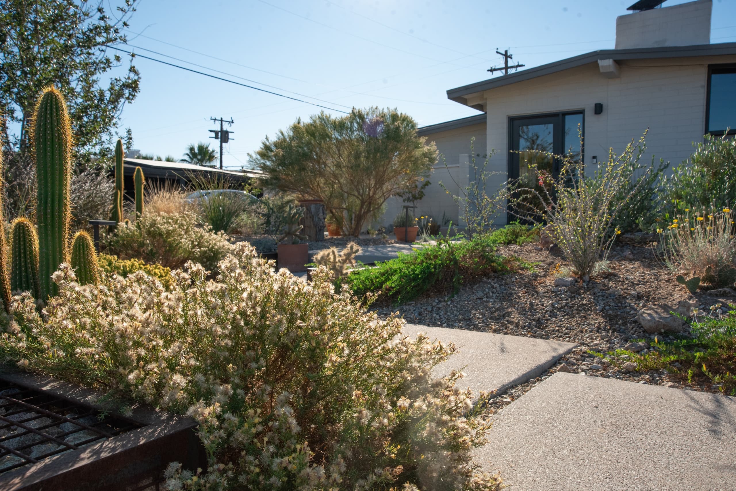 Explore Desert Autumn's Colors on the Boomerang Bloom Garden Tour in Las Vegas photo 2