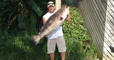 Deep-Sea Trolling with Chipper's Clipper in Orange Beach