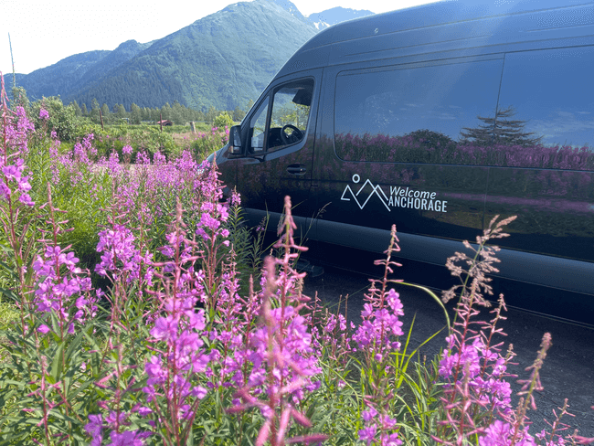 Anchorage to Seward Scenic Transfer — Wildlife, Glaciers & Turnagain Arm
