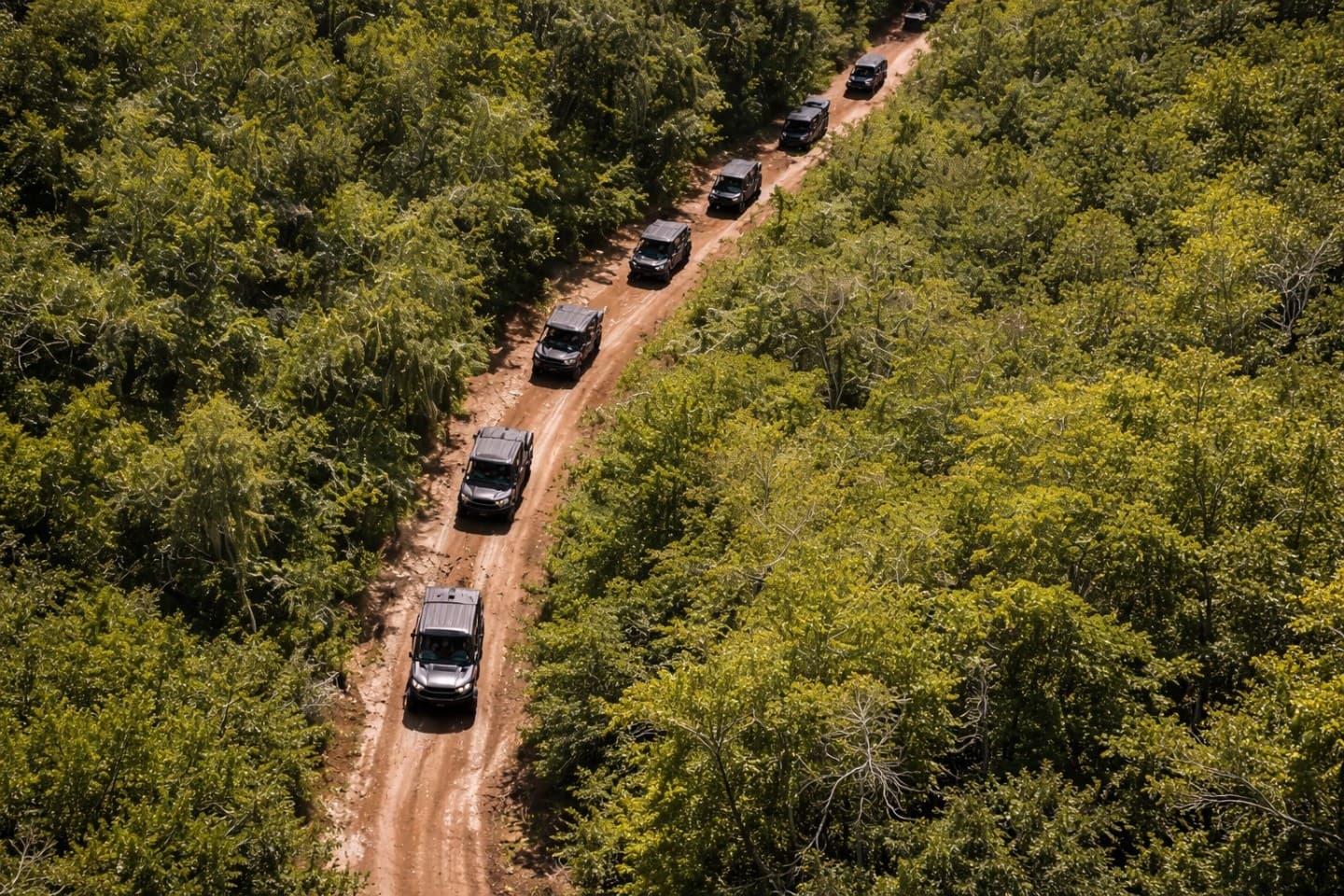 Thrill Through Old Florida: 7,000-Acre ATV Adventure Near St. Augustine photo 3