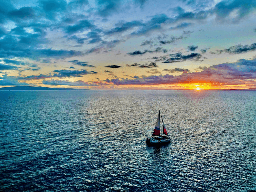 Unicorn Tours of Hawaii Inc fleet