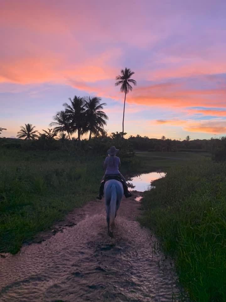 Sunset horseback ride along palm-lined rural trail through water