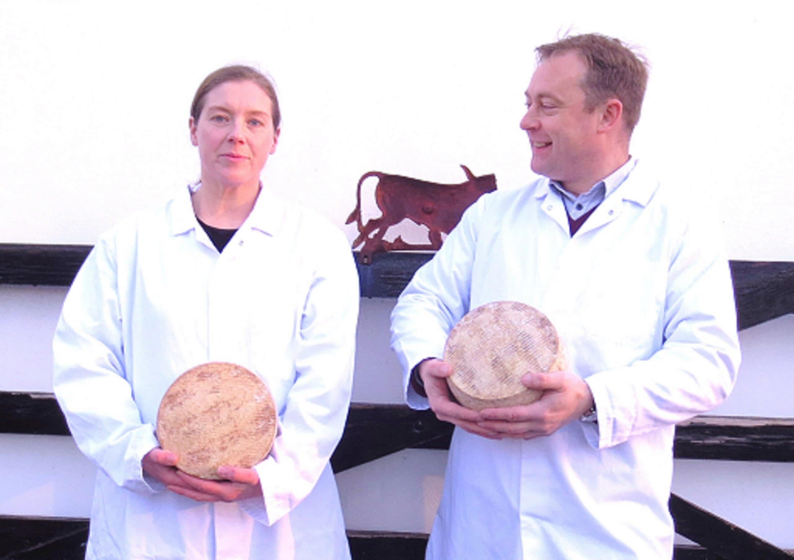 Milk, Meadows & Mountain: Taste Dart Mountain Cheese and Meet Horses Near Derry photo 3