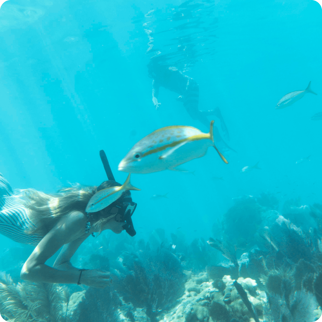 Guided Snorkel + Morning Sail
