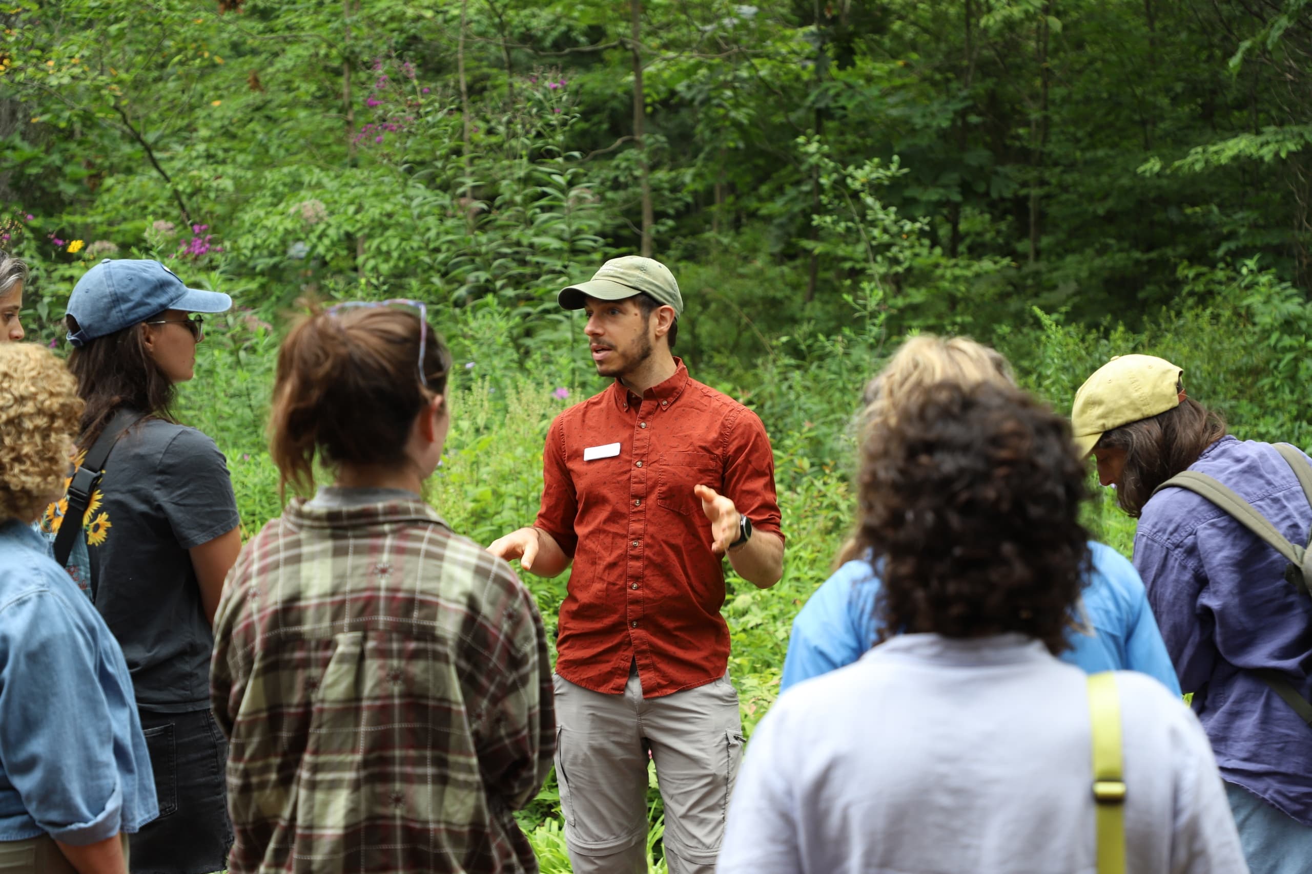 Flower to Tower Hike at Bowman's Hill Wildflower Preserve — Guided Spring Ephemeral & History Walk photo 2