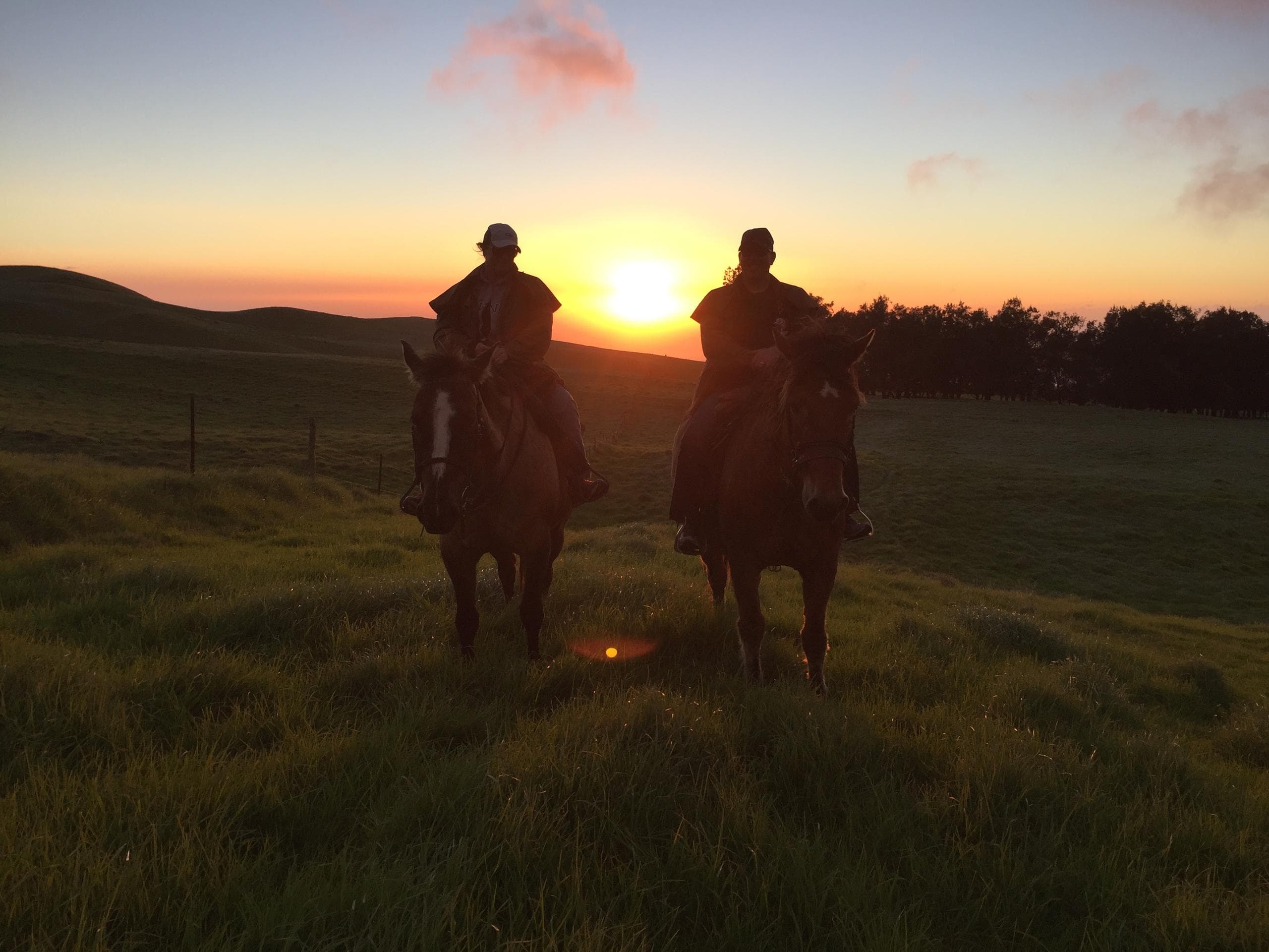Sunset Ride on Ponoholo Ranch with Paniolo Adventures