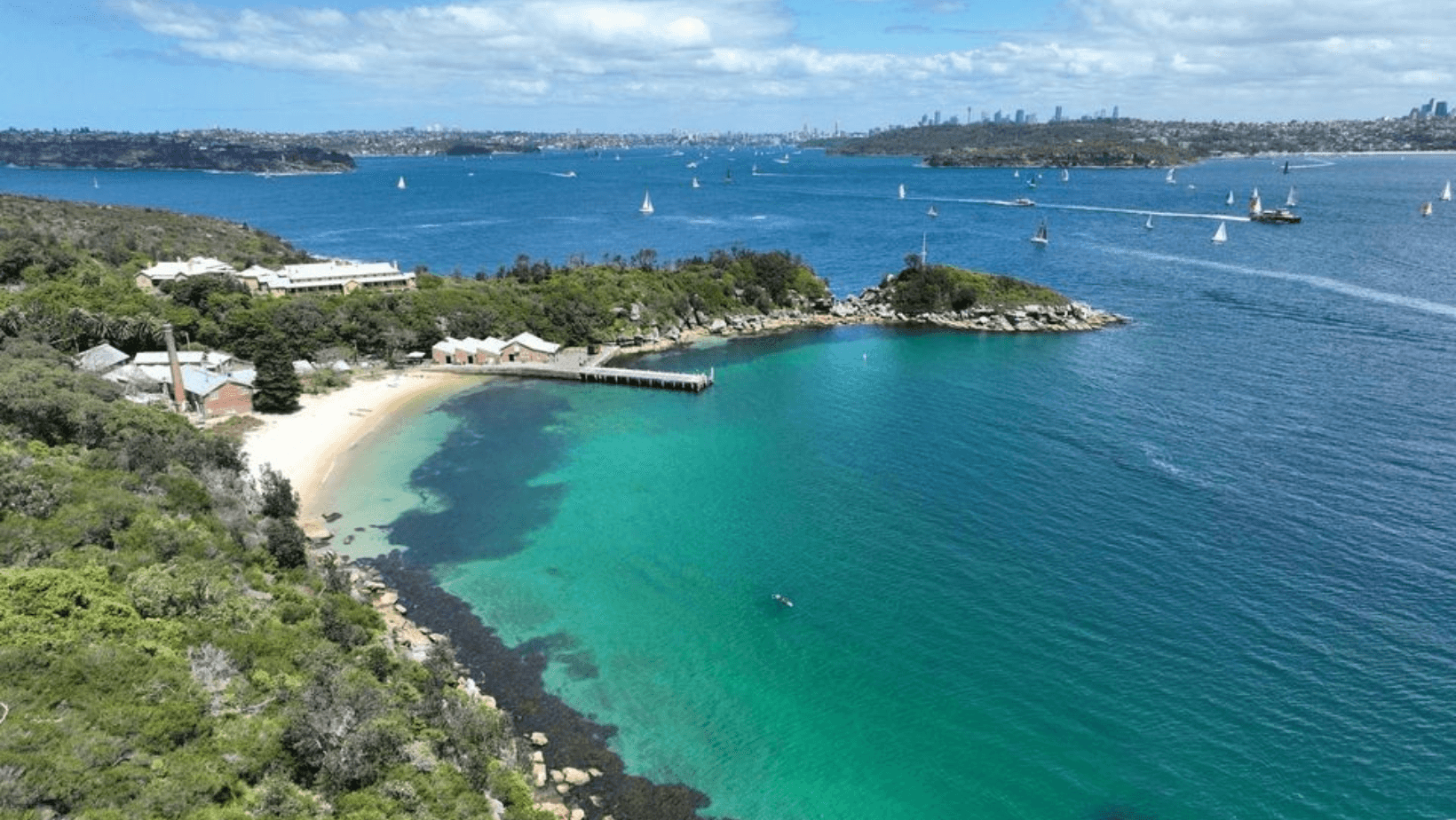 Beach Cleanup & Marine Conservation at Quarantine Beach