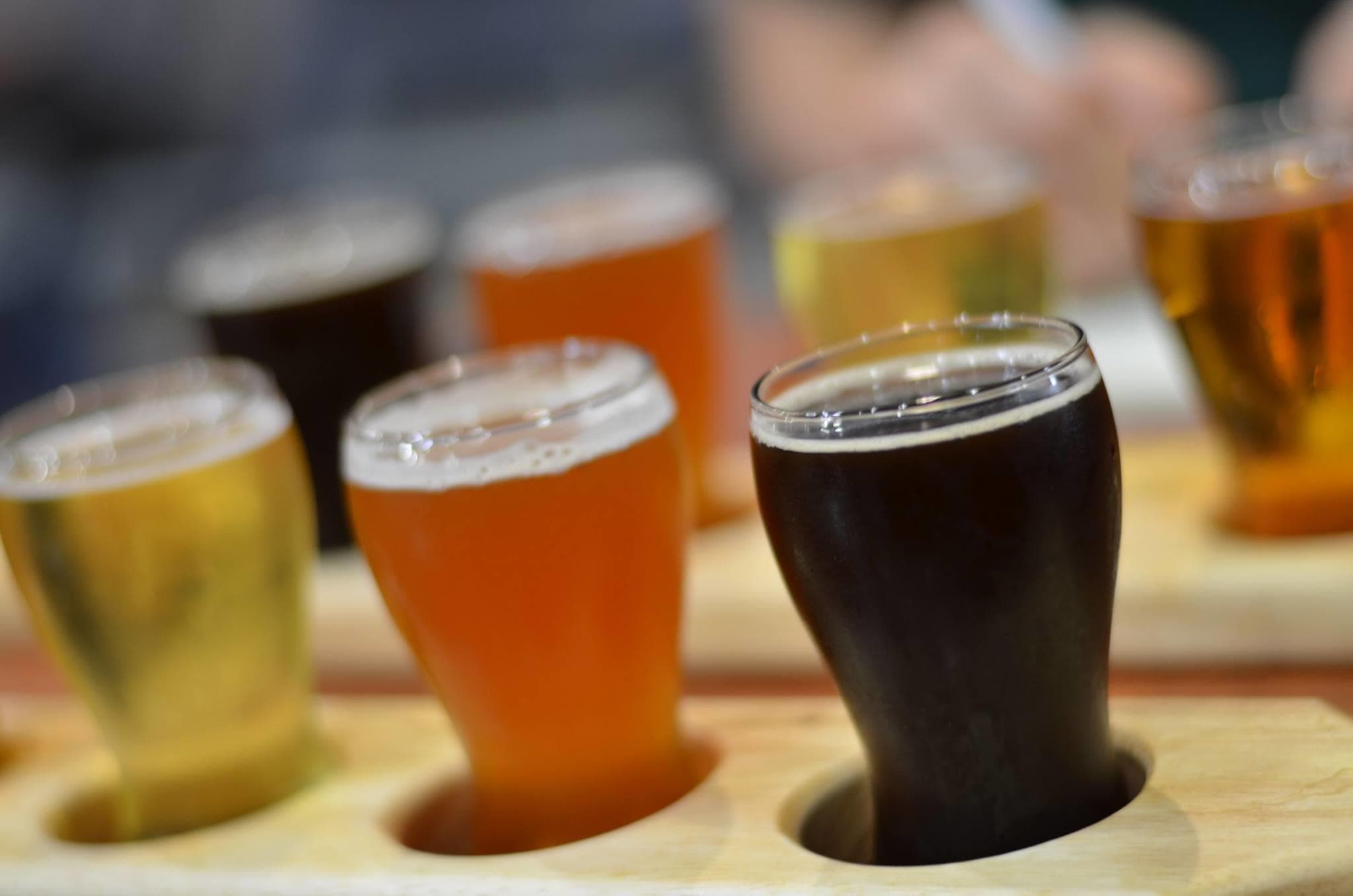 Self-Guided Bikes and Beer Cycling Tour in Windsor