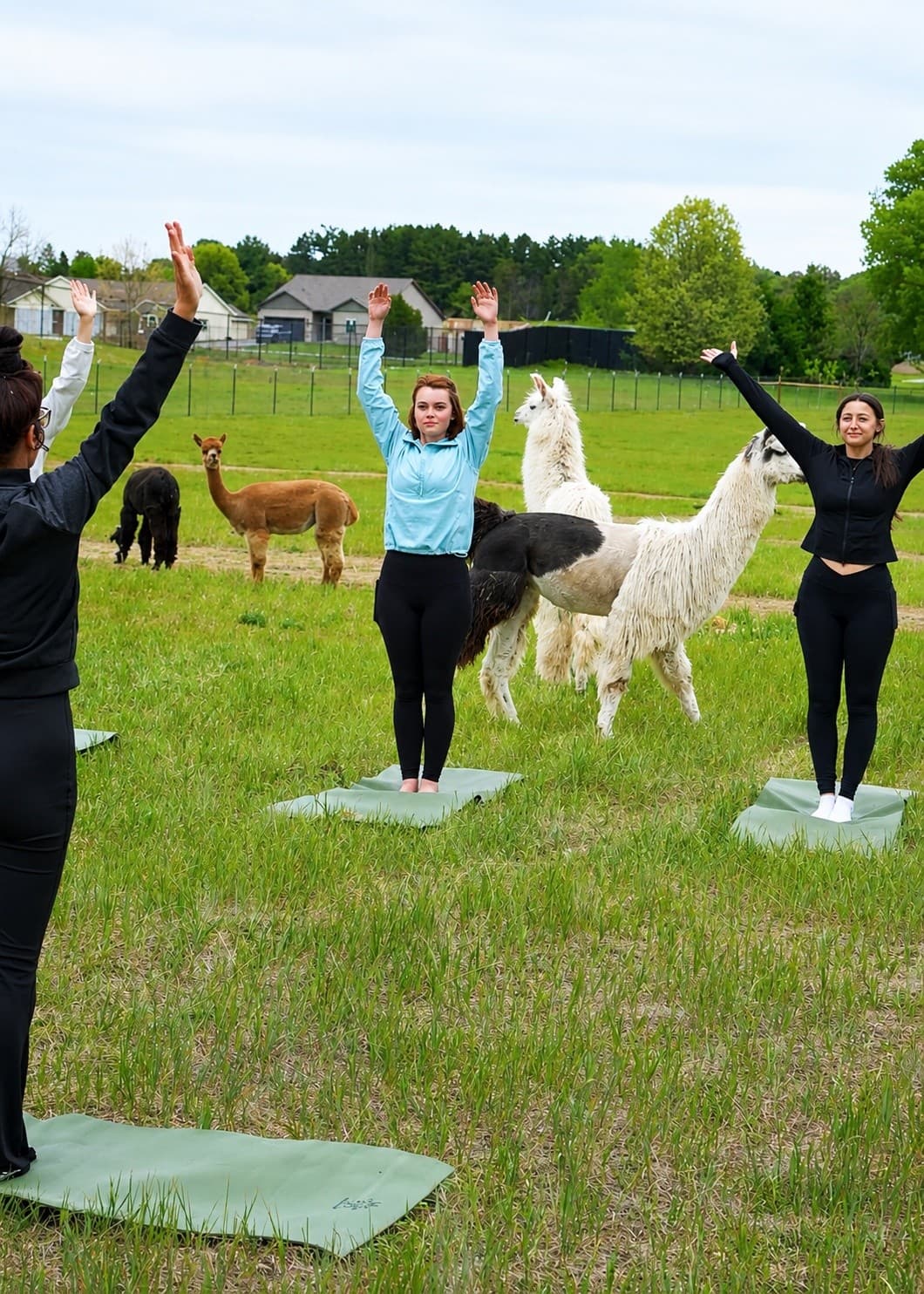 Barn-Lawn Yogalates: Morning Movement at CASACAMPO in Wisconsin Dells