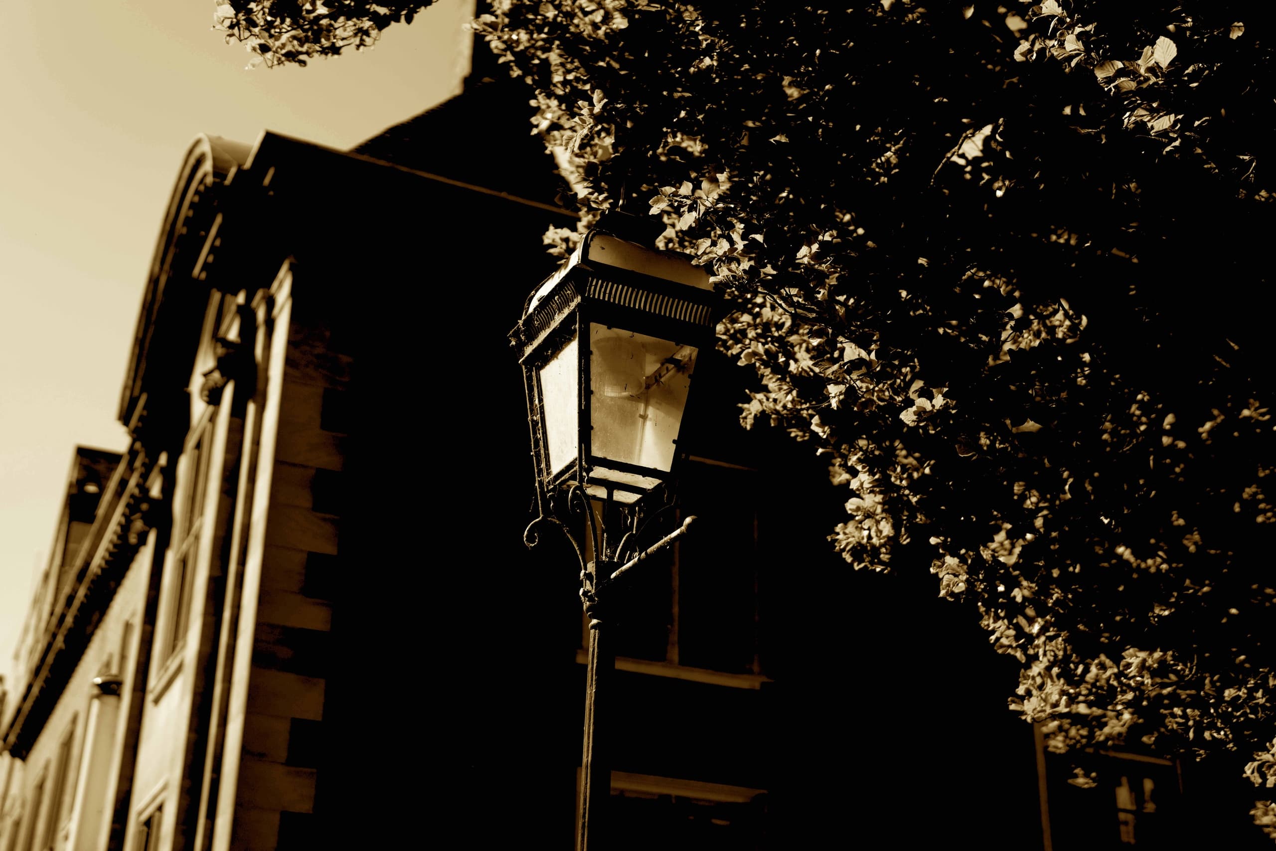 Haunted Ghost Tour in Cambridge by Alumni Tours