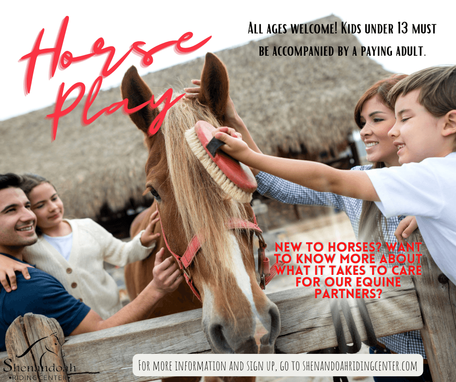 Family-Friendly Horse Play in Galena, Illinois