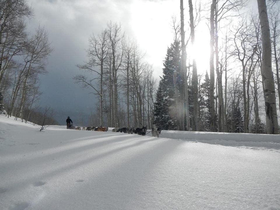 Culinary Dinner Tour with Snow Buddy Sled Dog Adventures in Oak Creek
