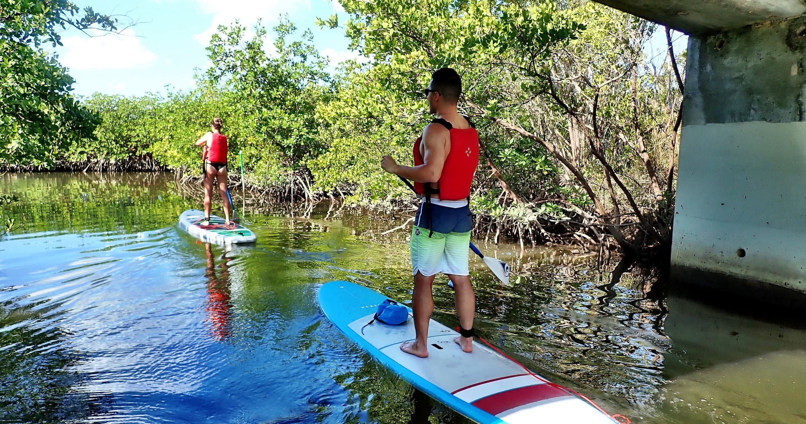 Stand-up paddleboarders cruising sheltered mangrove inlet under bridge