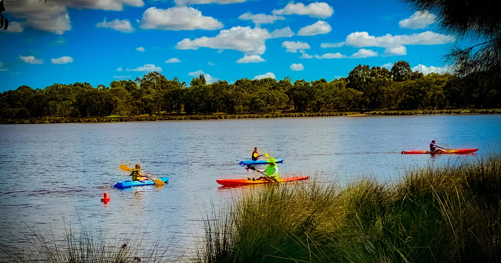 Wildlife & Water Adventures with Perth Wildside Kayak Tours