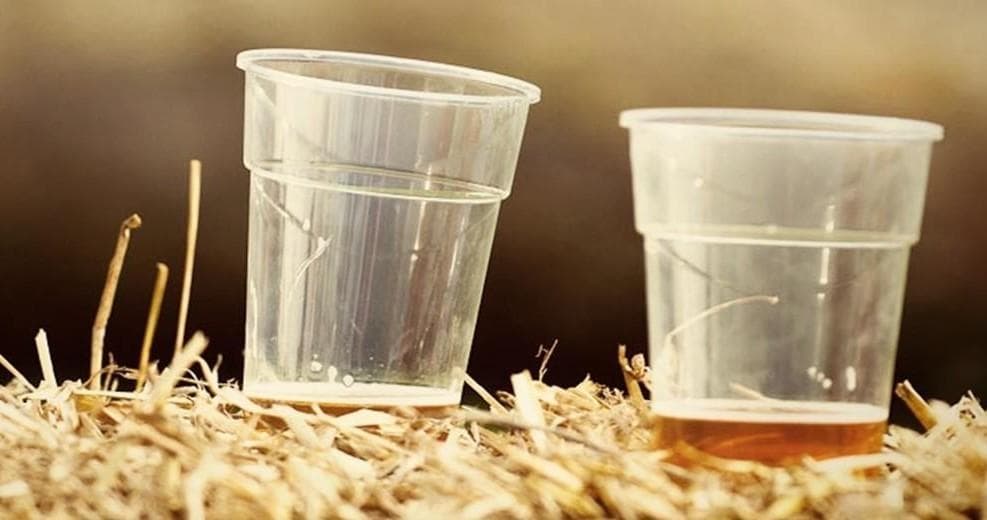 Cask Beer Experience with Spitting Feathers in the UK