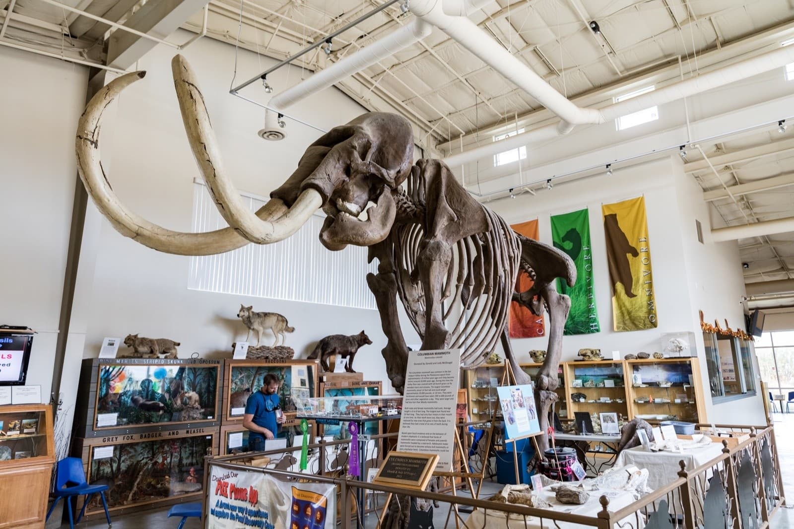 Step Into the Ice Age: General Admission at the Fossil Discovery Center in Chowchilla