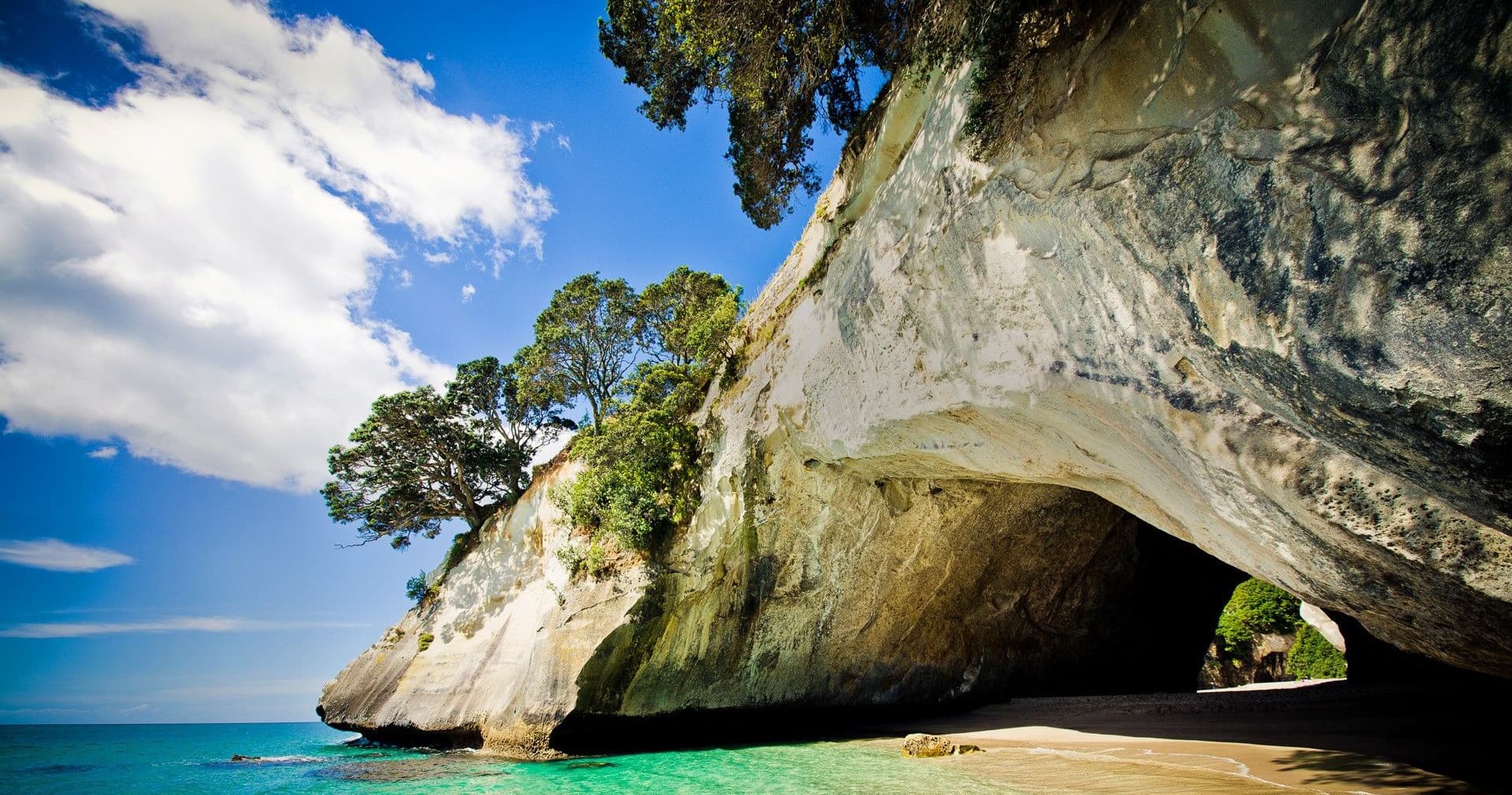 Coromandel Peninsula Private Tour by ExperienceKart