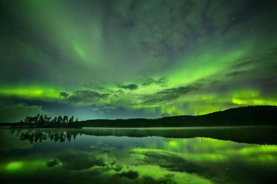 Winter Wildlife & Northern Lights at Aurora Camp