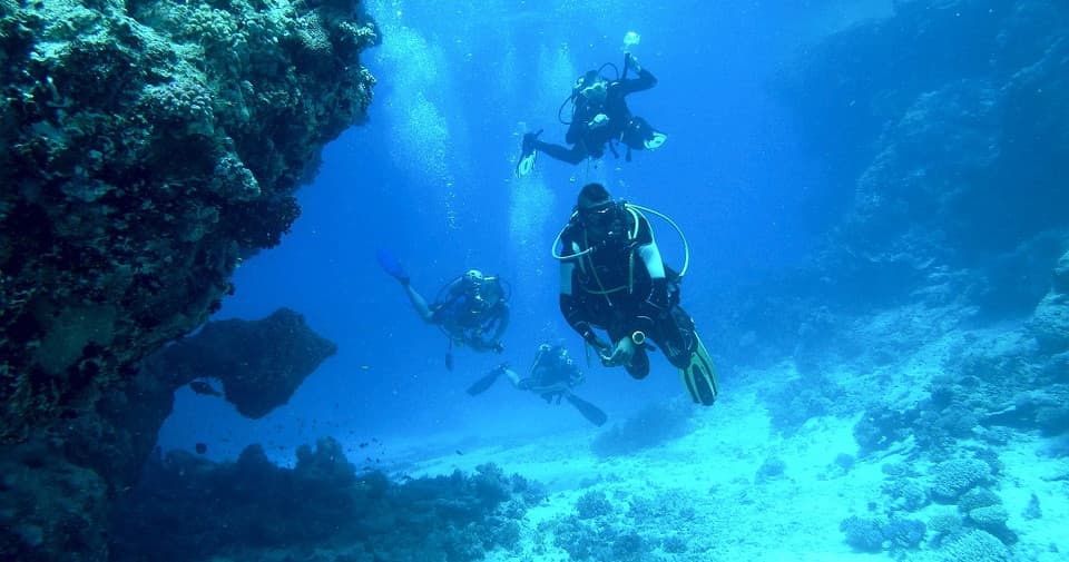 Water Activities: Cozumel Shipwreck Dives with Deep Life