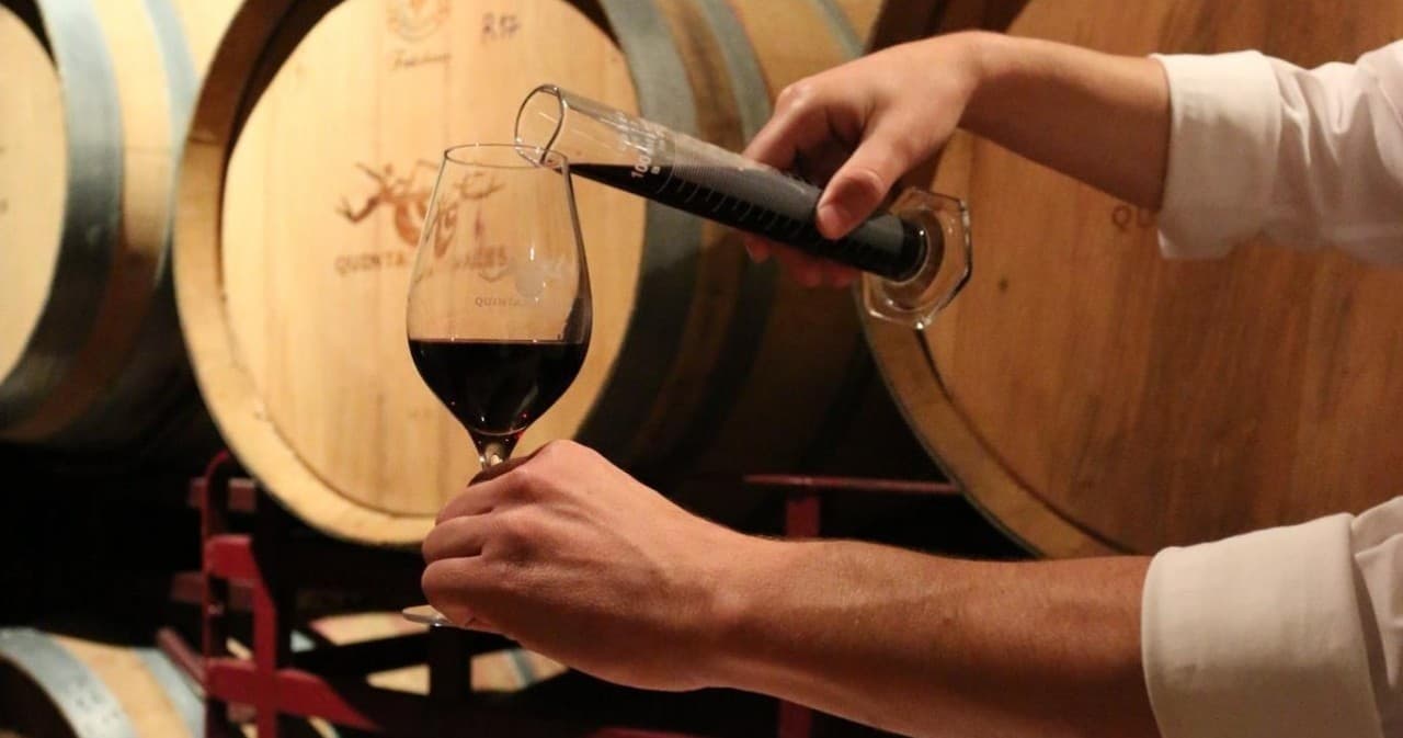 Wine Tasting & Luxury Tours at Castello di Fonterutoli