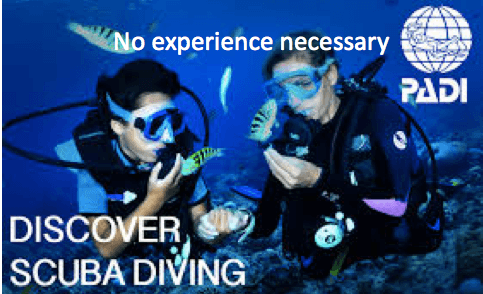 PADI Discover Scuba Diving Adventure in Aguadilla, Puerto Rico