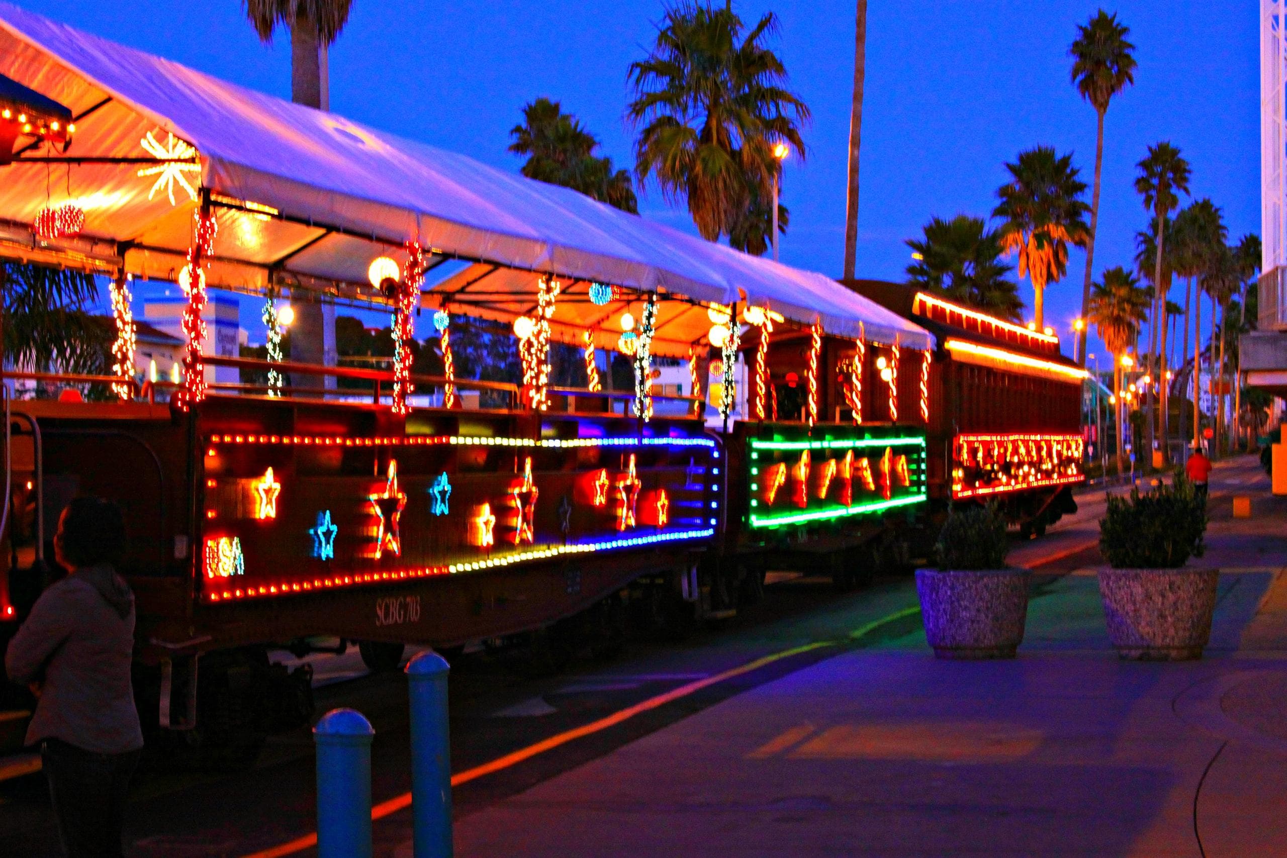 Holiday Lights Train Experience in Santa Cruz
