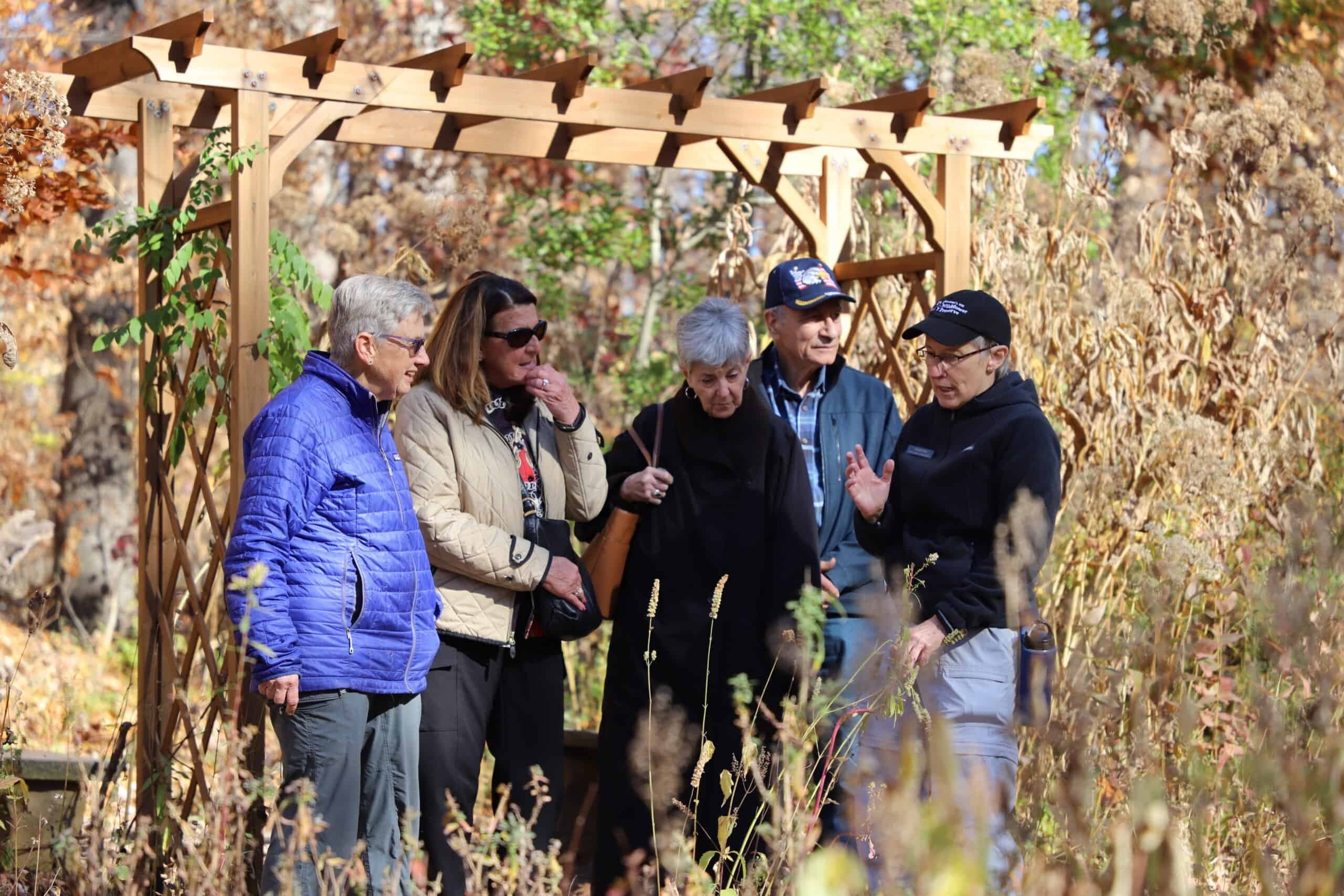 Guided Wildflower Walks at Bowman's Hill: Discover Pennsylvania's Native Plants photo 2