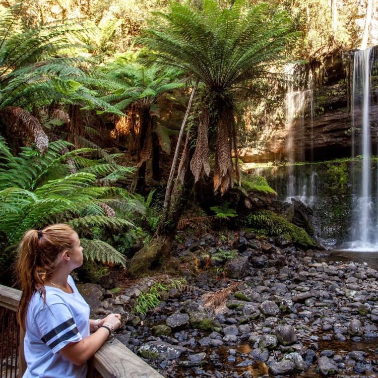 Rainforest Cascades and Summit Vistas: Mount Field, Russell Falls & Mt Wellington Day Tour