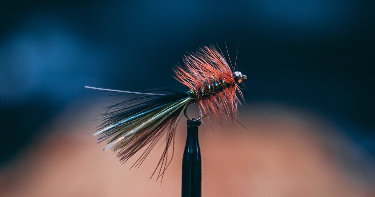 Front Range Anglers team