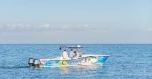 Sunset Dolphin Cruise by Captain T's in Dauphin Island