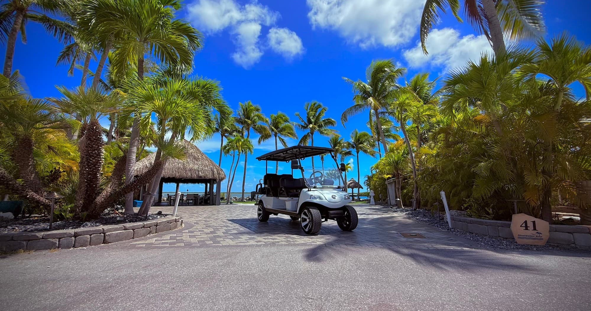 Golf cart driving through palm-lined resort road on tropical island