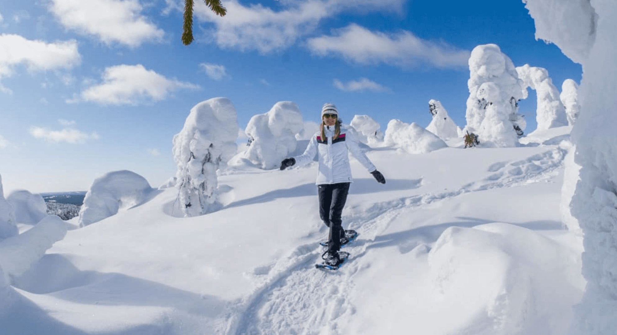 Snowshoe Hiking Trip at Iso-Syöte: 2-Hour Guided Arctic Forest Trek
