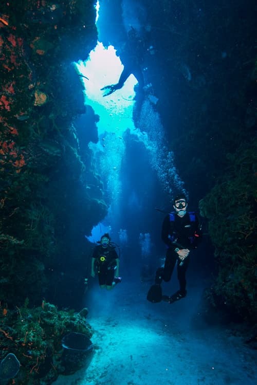 Diving Adventure with LIonfish in Cancun