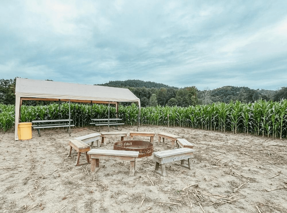 Outdoor Gathering Tips at Bob's Corn & Pumpkin Farm