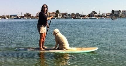 Southern Maine SUP & Boards Rentals with Wheels N Waves