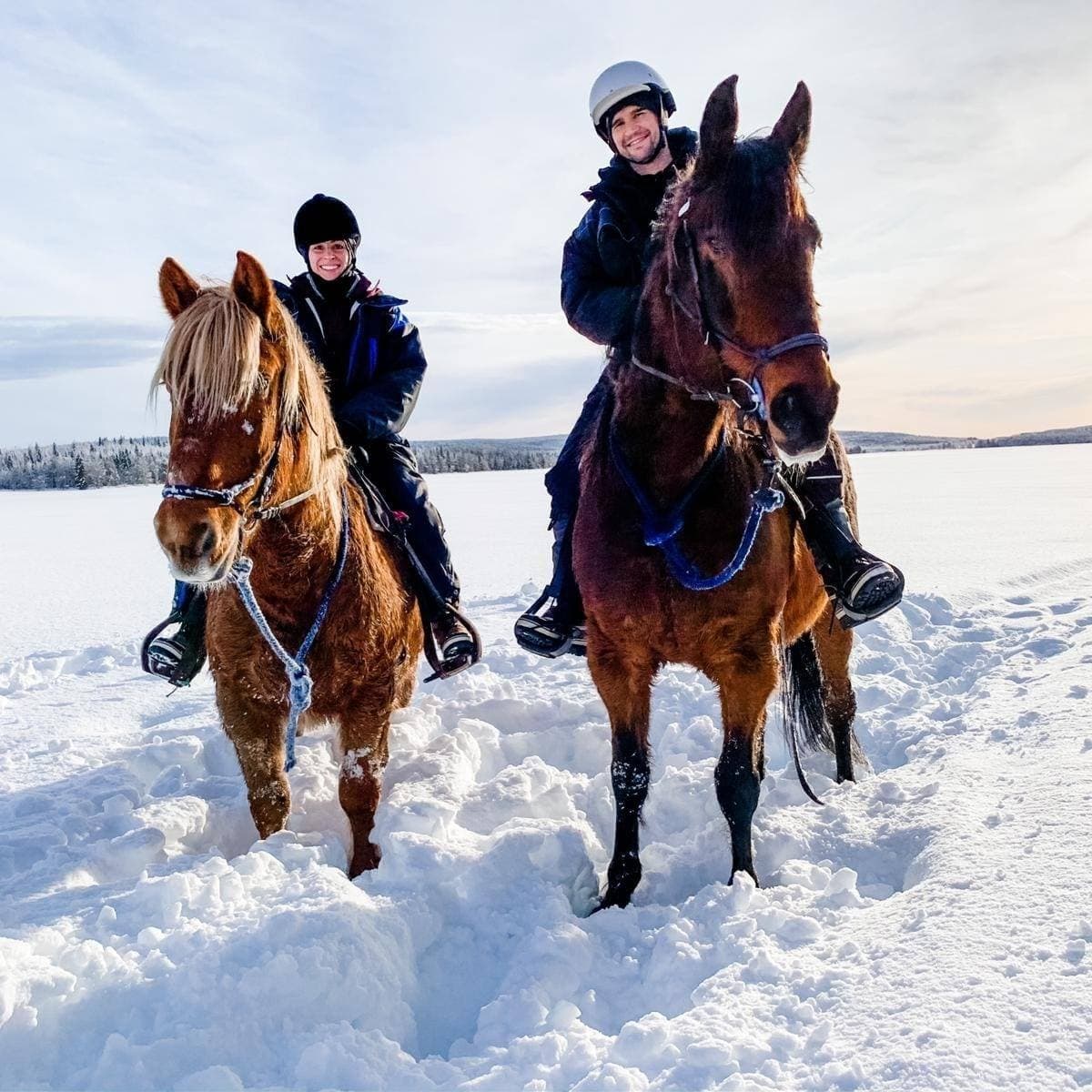 Land Adventures: Arctic Nature Trips Ltd Oy Horseback Safari