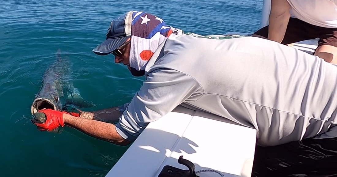 Captain releasing hooked fish alongside boat in Florida inshore waters