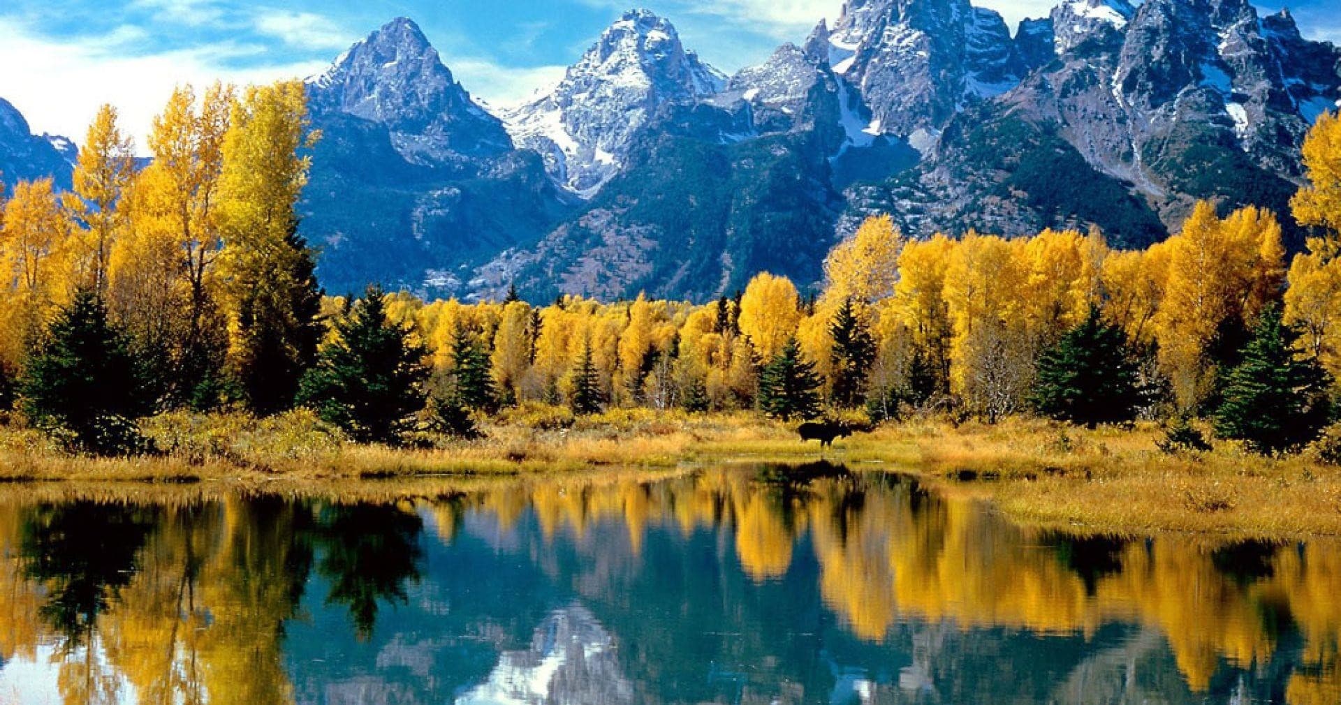 Jackson Hole Backcountry Rentals fleet
