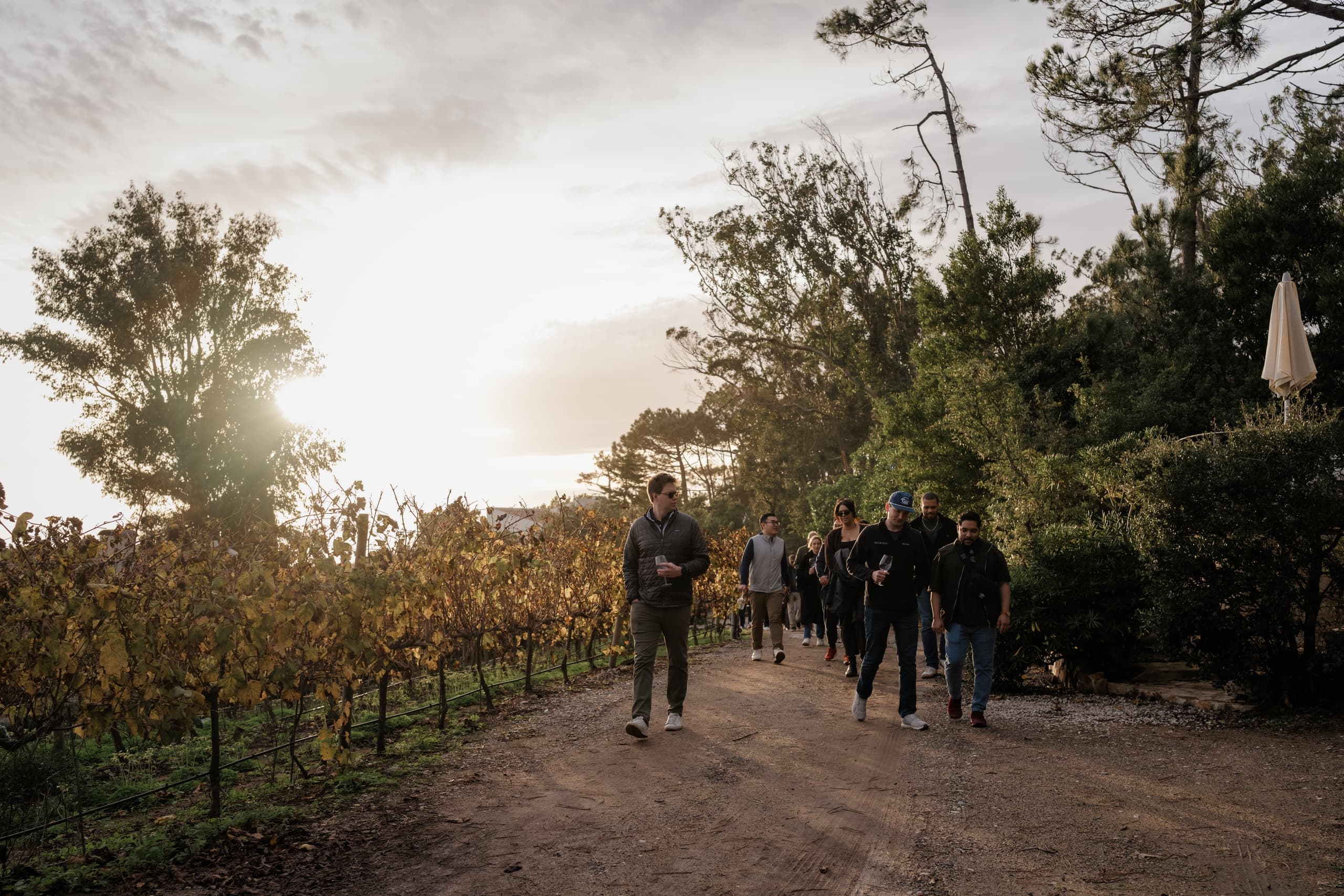 Coastal Wine Walk at a Quinta Near Cabo da Roca — Prova Hike and Wine, Colares